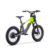 Draisienne électrique SEDNA SX18 vert