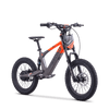 Draisienne électrique SEDNA SX18 orange