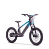 Draisienne électrique SEDNA SX20 bleu