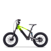 Draisienne électrique SEDNA SX18 vert