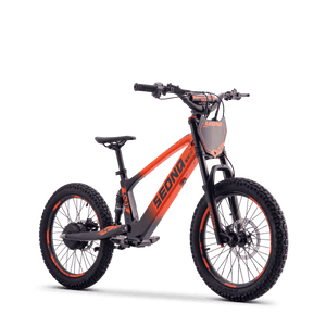 Draisienne électrique SEDNA SX20 orange