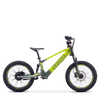 Draisienne électrique SEDNA SX20 vert