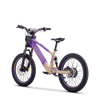 Draisienne électrique SEDNA SX20 violet