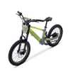 Draisienne électrique SEDNA SX20 vert