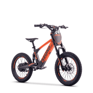 Draisienne électrique SEDNA SX18 orange