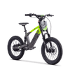 Draisienne électrique SEDNA SX18 vert