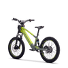 Draisienne électrique SEDNA SX20 vert