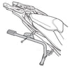 Fixation SHAD 3P System CFMoto 800/1000 MT-X pour valises latérales