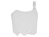 Plaque frontale Racetech