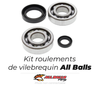 Kit roulements de vilebrequin All Balls